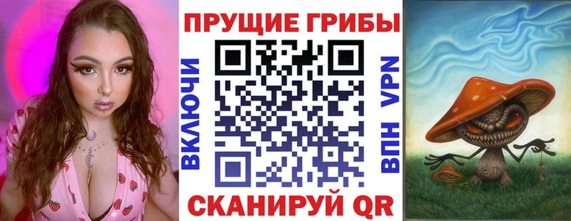 Псилоцибиновые грибы MAGIC MUSHROOMS где купить Краснослободск